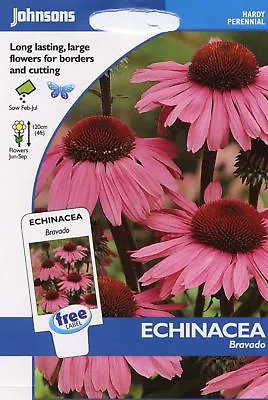 Johnsons Seeds - Pictorial Pack - Flower - Echinacea Bravado - 50 Seeds • £4.15