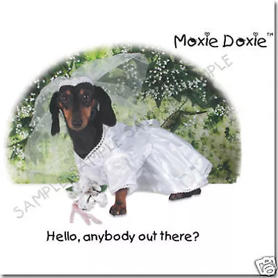 Lot Of 6 Moxie-doxie Very Unique Dachshund Six Greeting Cards Set 3 • $9.99