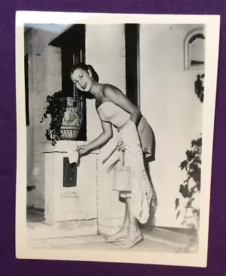 Vintage Photo Mitzi Gaynor 4x5 Inches P9 • $12.99