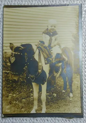 Old Photo Chubby Baby Cowboy Bandana And Chaps On Paint Pony With Fancy Tack • $18
