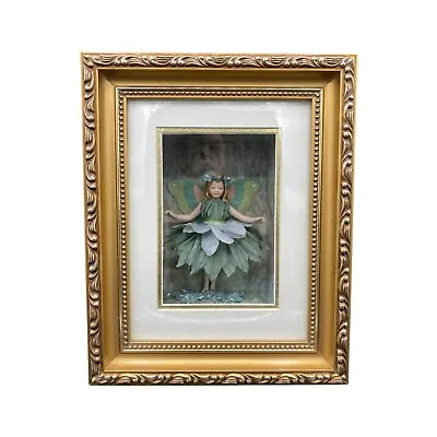 Vintage Green Fairy In Shadow Box 8 X10  Gold Ornate Frame • $37.99