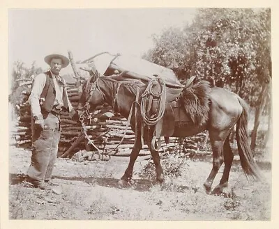 American Cowboy With Horse 1900 Wild West 10x8 Photo Art Print Picture • £4.50