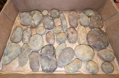 Mazon Creek 32 Unopened Nodules (Pit 11 Ponderosa Monster Lake) • $65