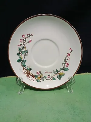 Villeroy Boch. Botanica. Tea Cup Saucer. (15cm). Made In Luxembourg. Linnea. • $12.95