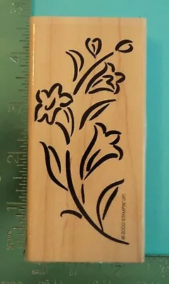 Stampin Up MORNING GLORY FLOWERS Rubber Stamp • $3.60