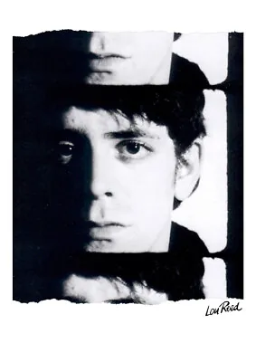 £9.95 • Buy Lou Reed A3 Size Poster - Velvet Underground Warhol Nico