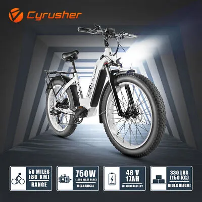 $3390 • Buy Electric Bike Adults 750W48V 15Ah Fat Tire Ebike Beach Mountain Electric Bicycle