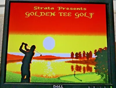 STRATA IT GOLDEN TEE GOLF VINTAGE 1989 JAMMA ARCADE PCB Tested Working #2 • $49.99