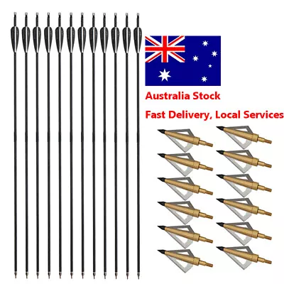 Archery 12pc 30  Carbon Arrows Hunting Arrows / Hunting Broadheads Arrowheads • $56.39