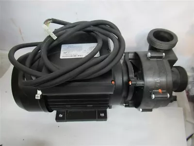 Balboa 1023336 3 HP Spa Pump 230 Volt 1 Phase • $250