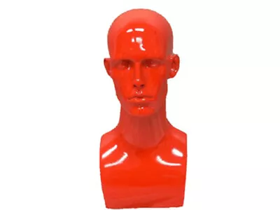 $85 • Buy 2PCS Male Fiberglass Mannequin Head Bust Wig Hat Jewelry Display #MD-ERARED X2