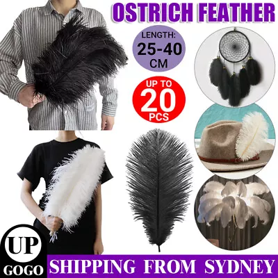 Up To 20x  Natural Ostrich Feather DIY Crafts Feathers Wedding Party Decoration • $6.99