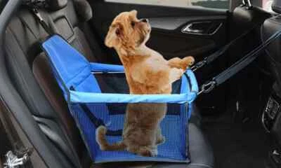 £8.99 • Buy Car Pet Seat Carrier - Grey