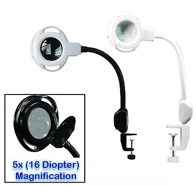 (5x) Magnification (16) Diopter Clamp LED Mag Lamp Light Salon Beauty Equipment • $59.88