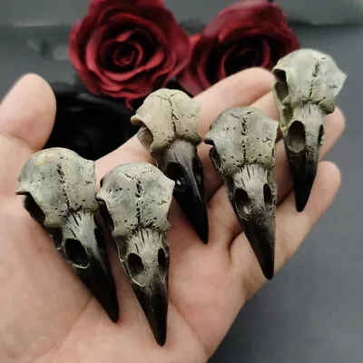 Raven Skull Necklace Resin Crow Steampunk Gothic Witch Halloween Prop Decoration • $9.50