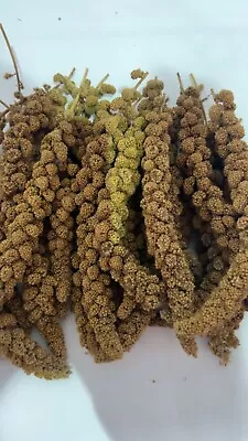 Spray Millet For Birds 25 Lbs Grown In USA • $134.99