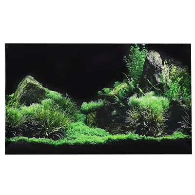 $17.39 • Buy Fish Tank Aquarium Water Grass Background PVC Poster Picture Decor Accessories