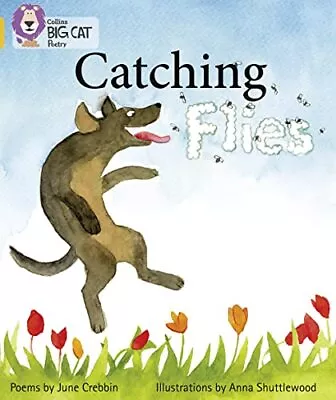 Catching Flies: Band 09/Gold (Collins Big Cat) By Collins Big Cat Book The Cheap • £3.49