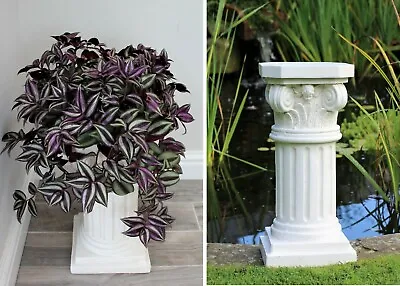 Wedding Venue Garden Ornaments Pot Stand  Home Decor Indoor Outdoor Plant • £19.95