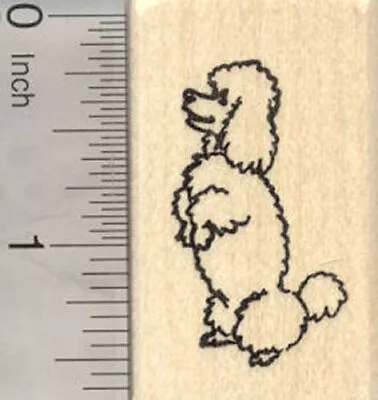 Small Poodle Dog Rubber Stamp Good Dog D18606 WM • $14