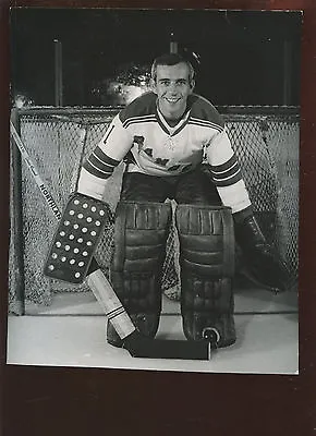 Vintage Ed Giacomin New York Rangers Goalie Posing 8 X 10 Hockey Photo • $85