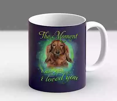 Funny Dachshund Owner Mom Dad Gift Christmas Fur Vintage Coffee Mug • $20.99