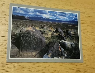 Postcard Vintage Ephemera Three Rivers Petroglyph Site New Mexico Jeff Nicholas • $12.49