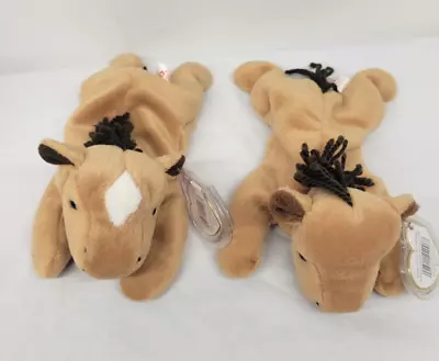 (2x) Ty Beanie Babies - Derby The Horse (9-16-1995) 1 With & 1 Without Star • $10