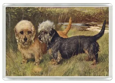 £2.99 • Buy Dandie Dinmont Terrier Two Dogs Dog Art Print Novelty Fridge Magnet Great Gift