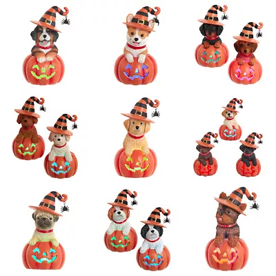 Dog On Pumpkin Halloween Table Decor • $24.95