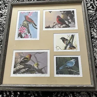 Mario Fernandez 5  Tanagers L/ED Signed & Numbered 1986 Lithograph Prints Framed • $107.81