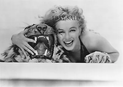 Rare MARILYN MONROE Hot Photo SEXY Tiger Rug CUTE • $49.95