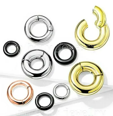 Large Gauge Hinged Clicker Segment Ring PVD Surgical Steel Earring Septum Ring • $5.86