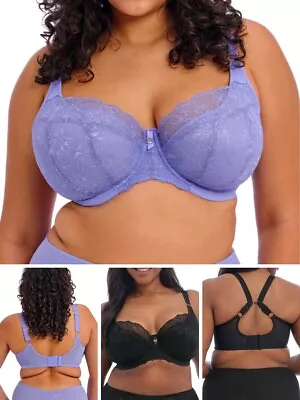Elomi Brianna Bra Half Cup Padded Underwired Lace Bras Plus Size J-Hook Lingerie • £30.18
