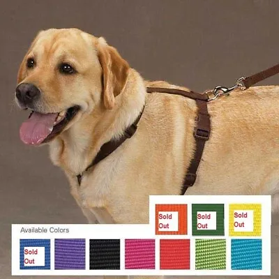 Nylon Dog Harnesses By Zack & Zoey In 7 Colors 4 Sizes • $12.99
