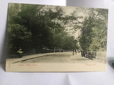 LONDON Colney Hatch Lane MUSWELL HILL 1900s POSTCARD  21/7 • £4.99