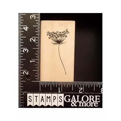 Stampabilities Rubber Stamps QUEEN ANN'E LACE GARDEN FLOWERS #T11 • $4.79