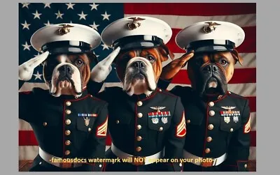 Dog Marines PHOTO Dogs Puppies Marine Corps Pups Art 5x7 Print • $5.88