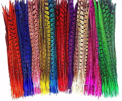 Colour Pheasant Tail Feathers 10'' - 12'' Arts Crafts Hat Costume Wedding Fly UK • £1.85