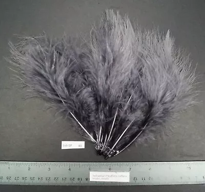 Heron Grey Marabou Strung Turkey Marabou/Spey Feathers Lot- SF 40 • $5.49