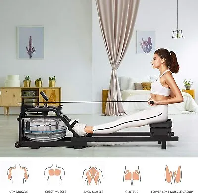 Metal Water Rowing Machine Rower Cardio Fitness Exercise Home Gym W/ LCD Monitor • $319.99