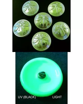 6 Czech VASELINE Glass Buttons #B845 - 18 Mm Or 3/4  - DRAGONFLIES - IRIDESCENT! • $14.99