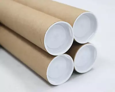 Mailing Tube - 2 In X 12 In - Kraft - 4 Pack - For Shipping And Storage Of Poste • $24.01