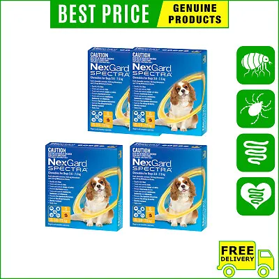 NEXGARD SPECTRA Flea Heartworm Control 3612 Chews For Dog 3.6 To 7.5 Kg YELLOW • $63.98