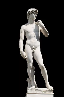 Michelangelo Statue Of David Poster Photo Italian Art 12x18 • $16.95