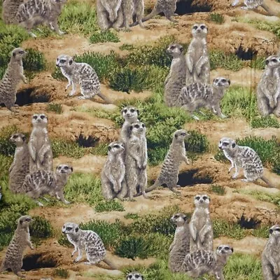 Animal Fabric - Born Free Meerkat Safari Nature Scene - Fabri-Quilt YARD • $10.98