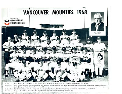 1968 Vancouver Mounties 8x10 Team Photo Oakland A's Pcl  Baseball Canada • $5.95