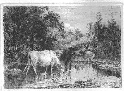 24% Off!  Peter Moran American Artist Original Etching Untitled Cows • $151.12