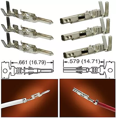 Molex (Male N Female) Lot Crimp Pins & Sockets Size: 0.062  & 0.093  Terminals • $7.22