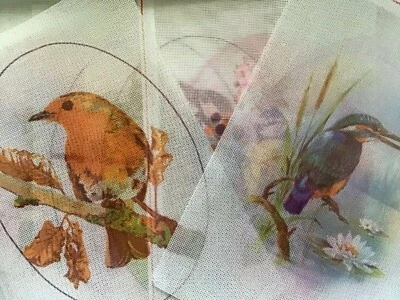£2.99 • Buy Bird Printed Cross Stitch / Embroidery Canvas. 24cms X17cms Needlework. New